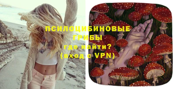 не бодяженный Вяземский