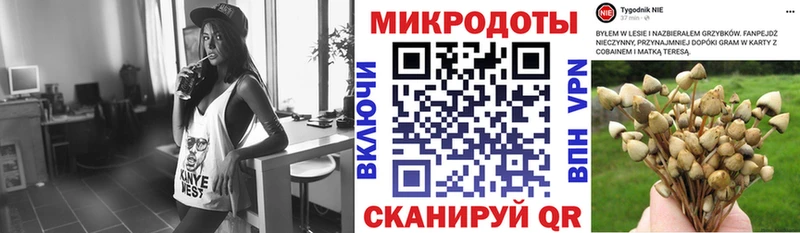 Галлюциногенные грибы GOLDEN TEACHER  Купить  Куйбышев 
